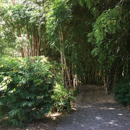 Kin Kin Cottage Retreat Bagian luar foto