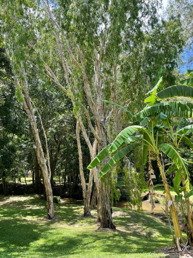 Kin Kin Cottage Retreat Bagian luar foto