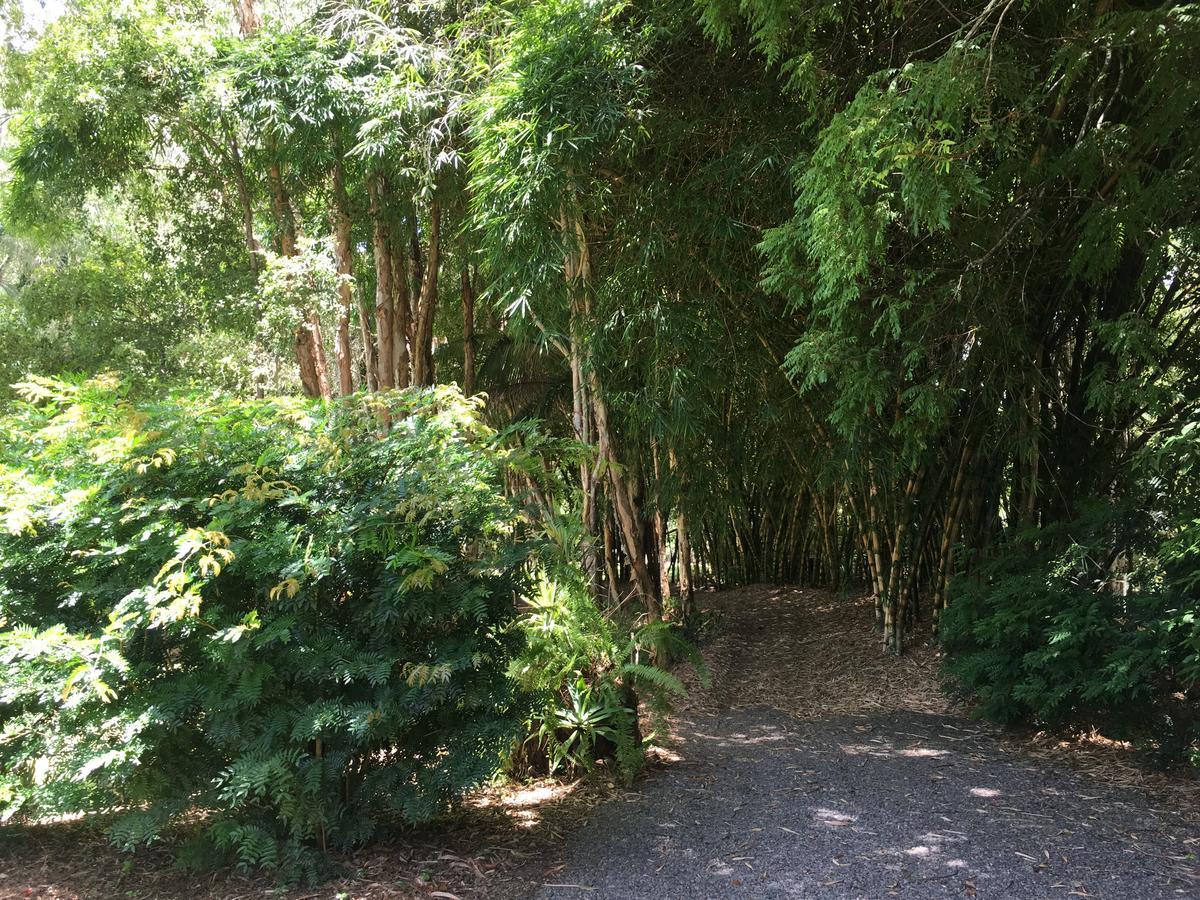 Kin Kin Cottage Retreat Bagian luar foto