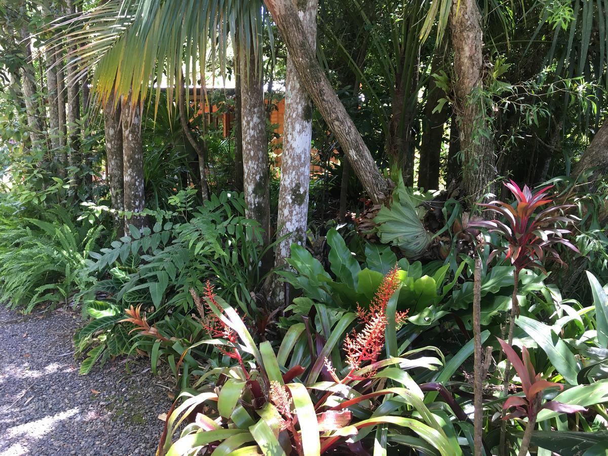 Kin Kin Cottage Retreat Bagian luar foto