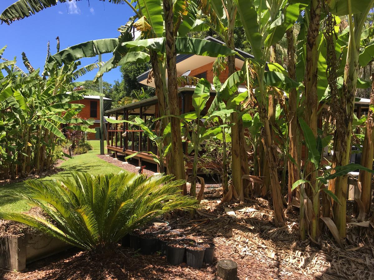 Kin Kin Cottage Retreat Bagian luar foto